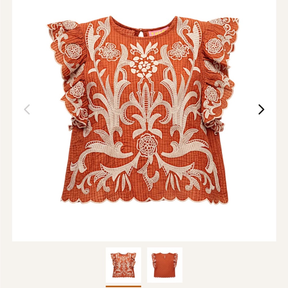 THML Women's Terracotta Embroidered Blouse purchased from UT CO-OP. - Picture 3 of 3